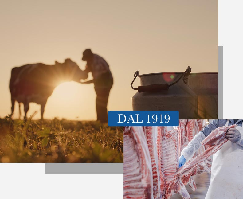 Buzzi distribuzione carni pregiate