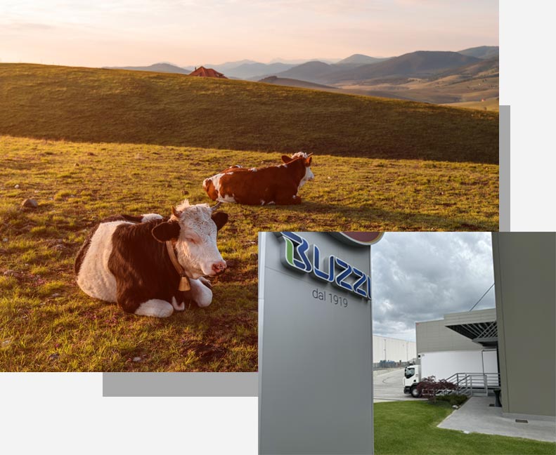 Buzzi distribuzione carni responsabilità e sostenibilità Buzzi distribuzione carni responsabilità e sostenibilità
